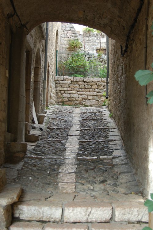 DSC_1434.JPG