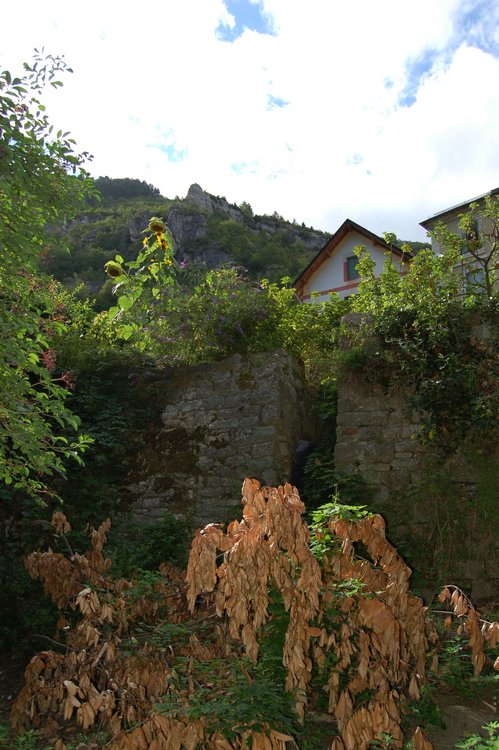 DSC_1442.JPG
