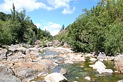 DSC_1408.JPG