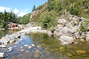 DSC_1411.JPG