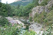 DSC_1423.JPG