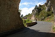 DSC_1426.JPG