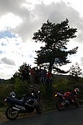 DSC_1433.JPG