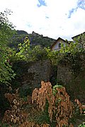DSC_1442.JPG