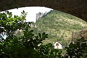 DSC_1444.JPG