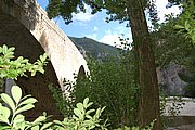 DSC_1445.JPG