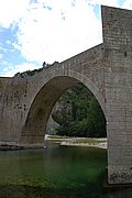 DSC_1446.JPG