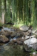 DSC_1447.JPG