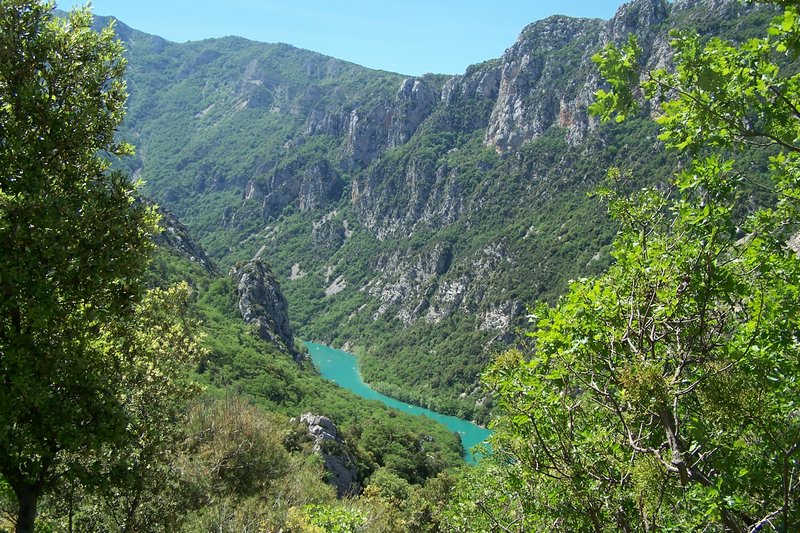 100_4236.jpg