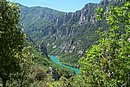 100_4236.jpg